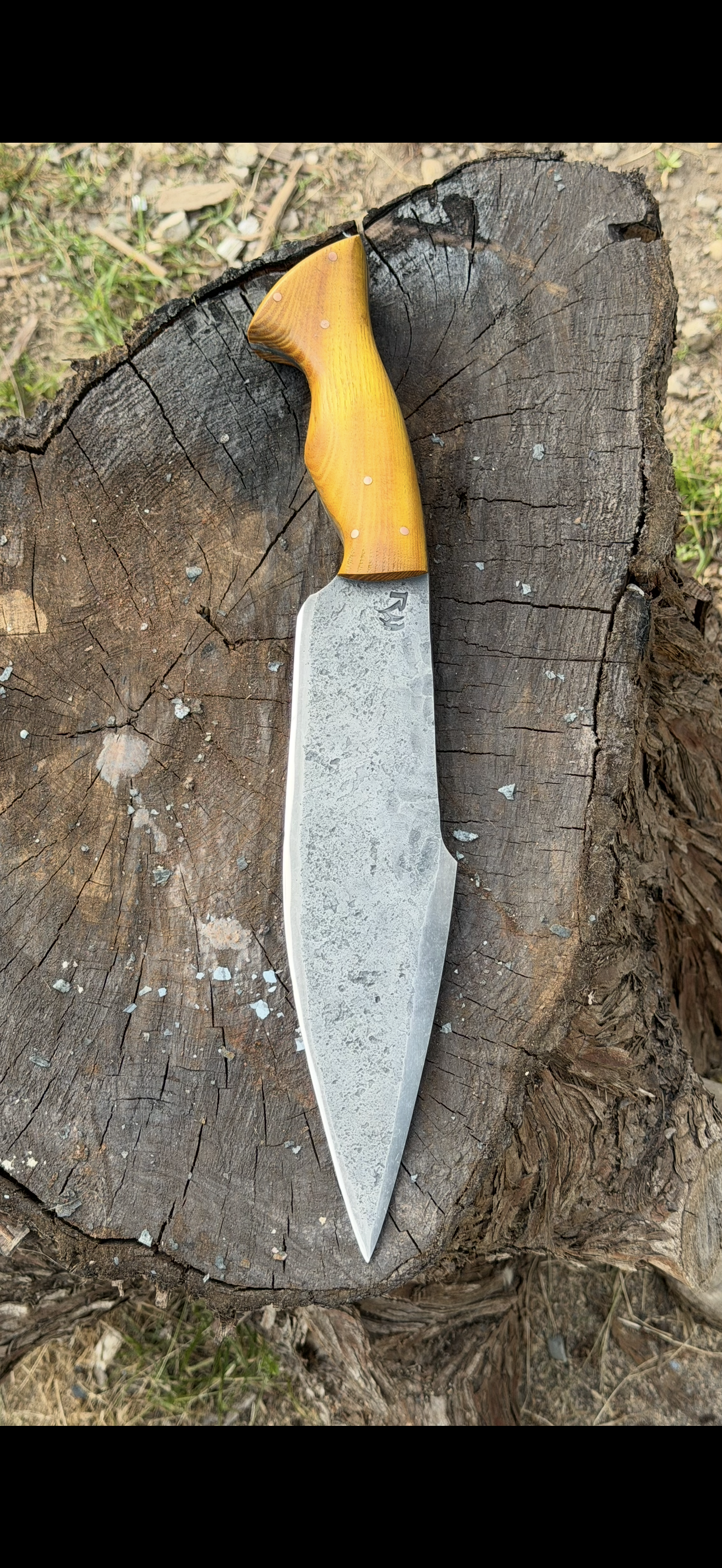 Long blade knife with yellow wood handle on tree stump